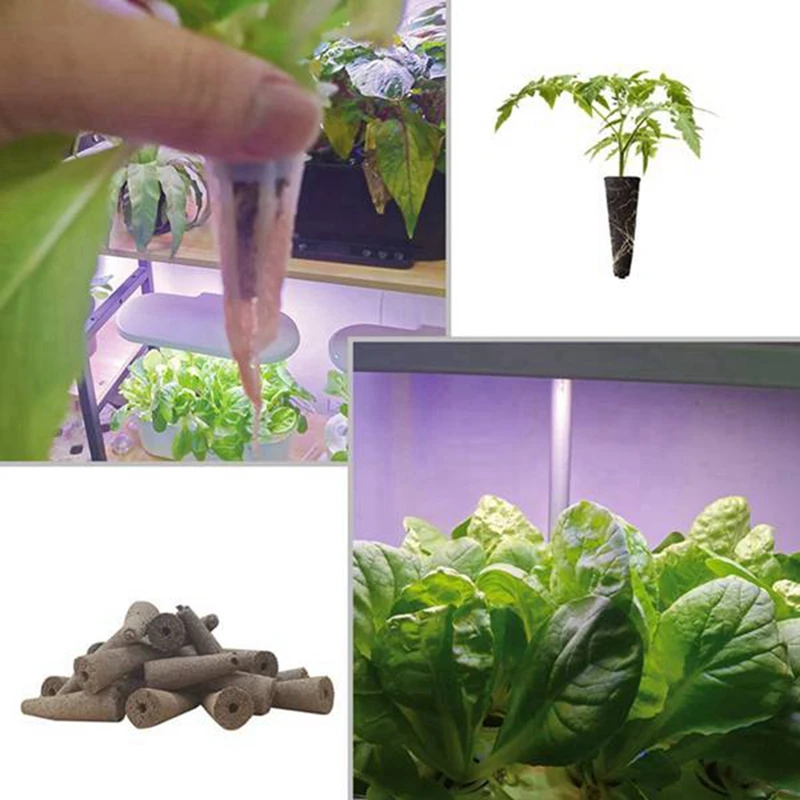 30 Pack Seed Plant Grow Sponges Eco-Friendly Plant Growing Plugs Sponges For Hydroponic Plants Growth