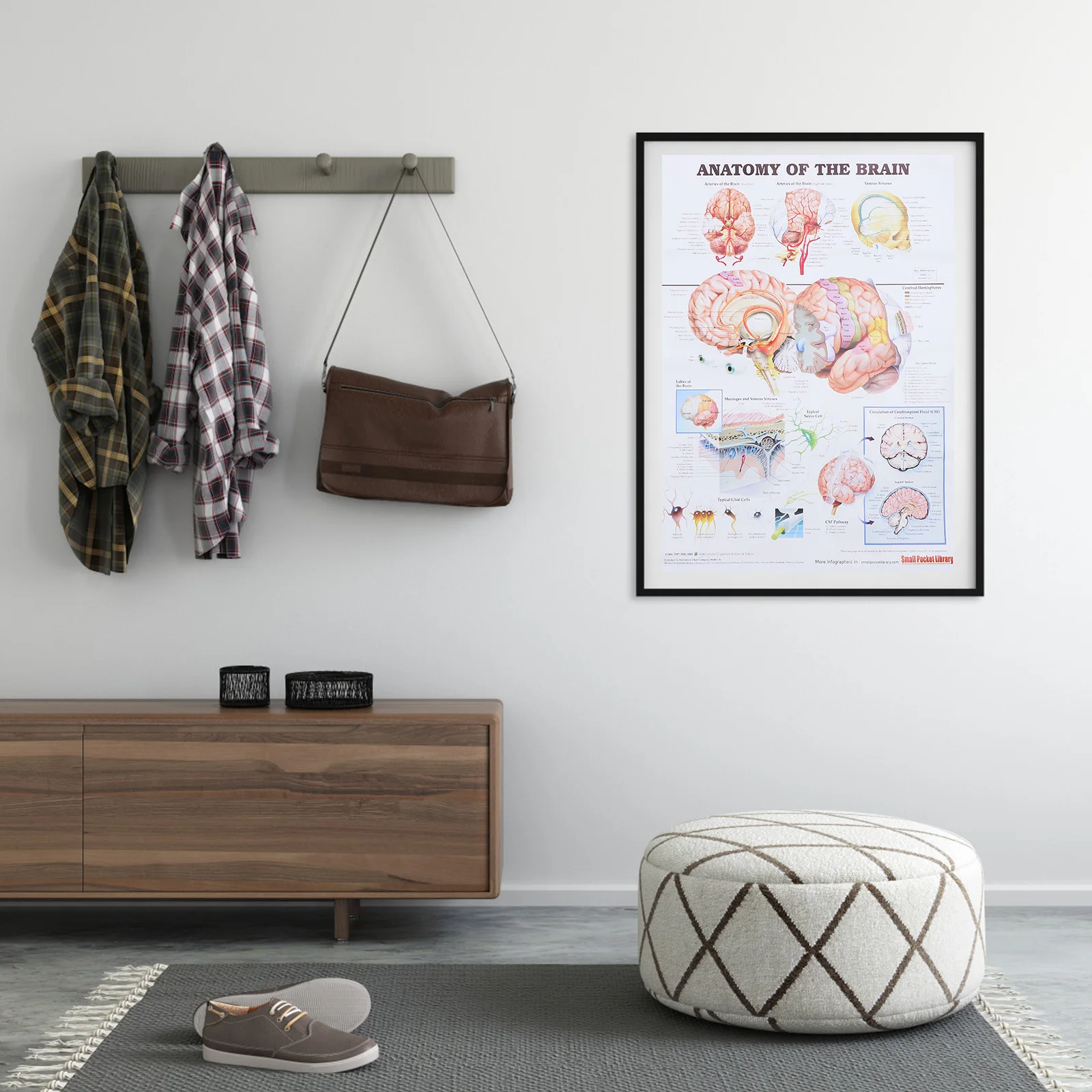 

Human Brain Anatomy Poster 50x70cm Medical Teaching Tool Skeletal Analysis Chart for School Hospital Lab for Classroom