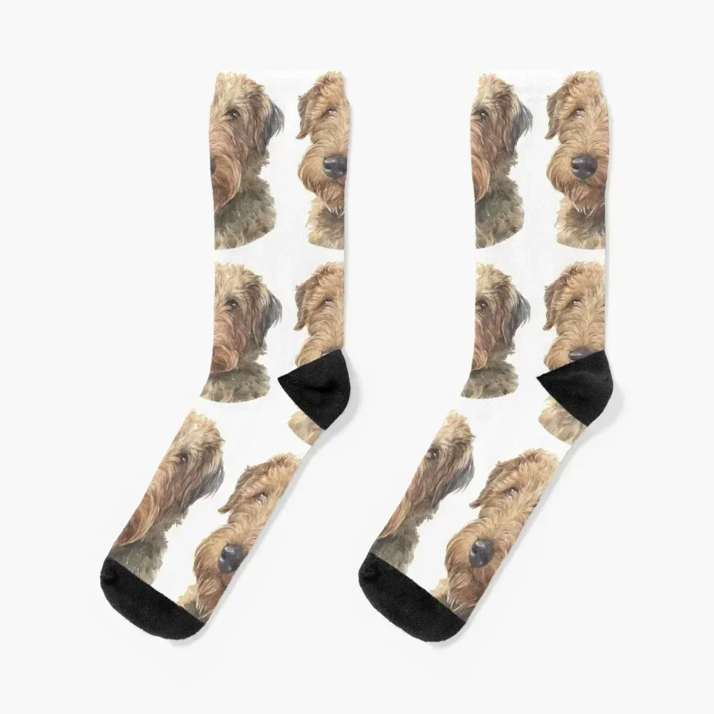 الويلزية جحر المائية الفن الجوارب تو الرياضة الهيب هوب اليابانية الأزياء الفاخرة الرجال الجوارب الفاخرة المرأة #1