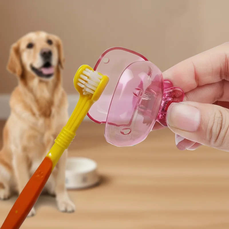 Conjunto de escova de dentes colorida para cães, 3 lados, cabeça tripla coberta, escova dentária para animais de estimação, para cães pequenos, médios e grandes, suprimentos de limpeza para cuidados com os dentes