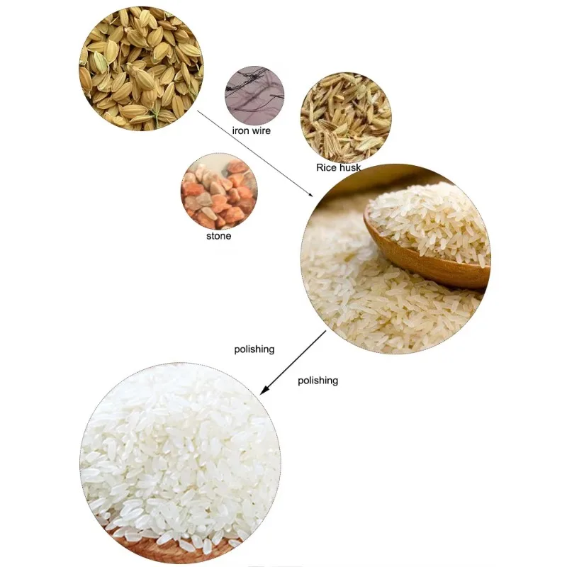 Multifunctional 20 Tons Per Day Rice Milling Machine Complete Paddy Rice Milling Machine Automatic Grain Rice Miller