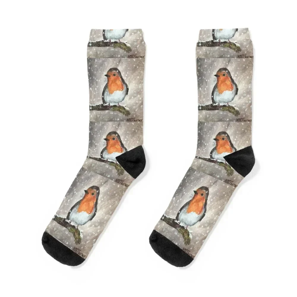 Snowy Robin Socks floral christmas gifts warm winter summer Men Socks Women's