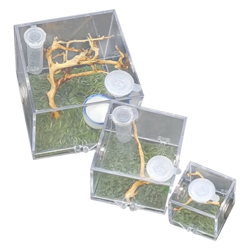 

3 Pcs Jumping Spider Breeding Box Acrylic Insect Tank Terrarium Clear Cage Small Medium Large Reptile Enclosure Feeding Port