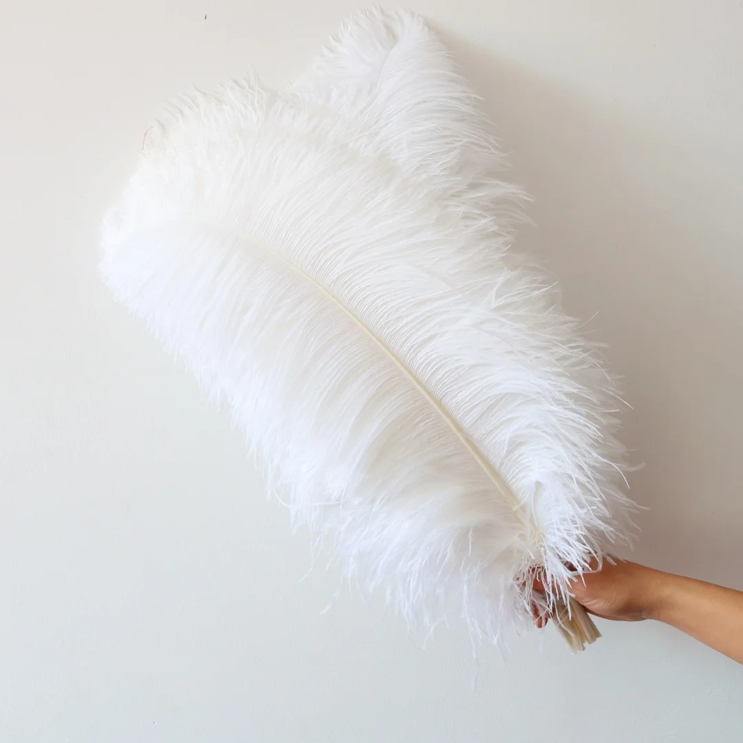 

50pcs White Ostrich Feather Large Plumes 65 70cm For Crafting Wedding Centerpiece Decoration Party Carnival DIY Accessories
