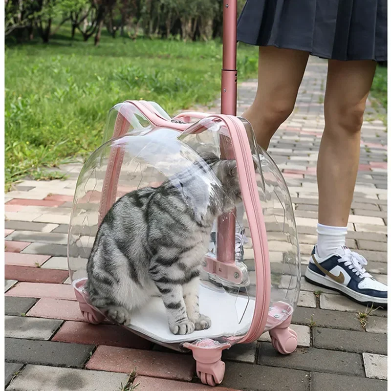 

Прозрачный транспортировочный чехол для домашних животных, переноска для космических капсул с телескопическим стержнем, креативная высокопроизводительная тележка для кошек