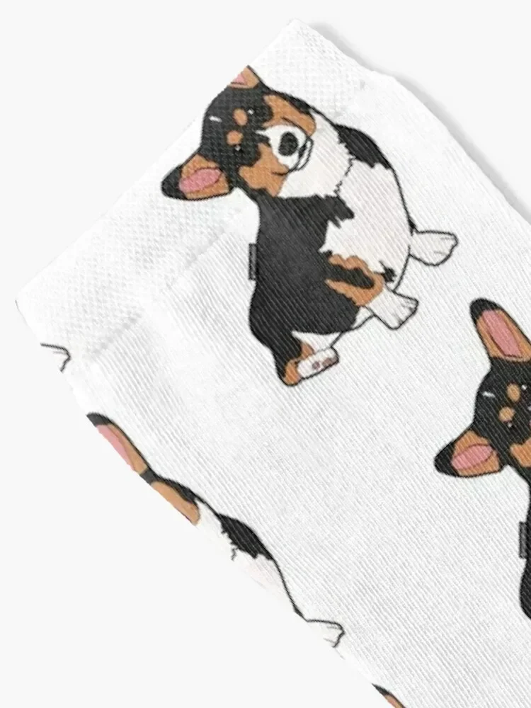 Cedric Diggory The Corgi Socks Rugby funny gift happy hip hop Man Socks Women's