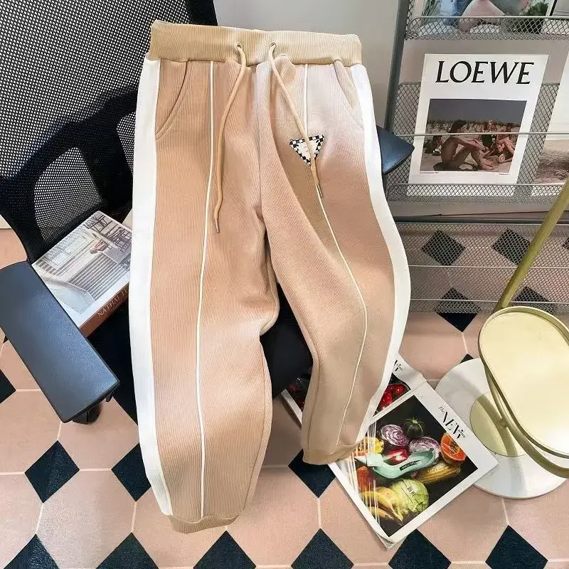 Drawstring Autumn Winter Casual Joggers Women Y2k Pants Velvet Warm Hoodies Harem Pants Trousers Women Sweatpants Pencil Pants