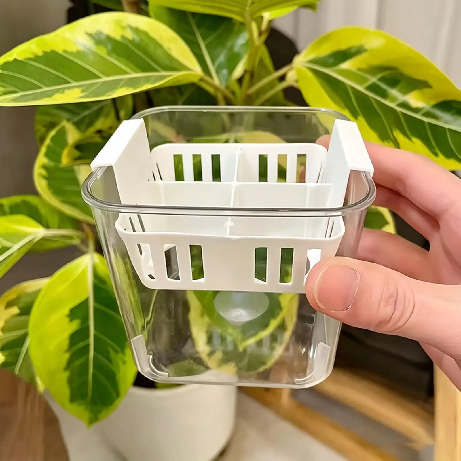 Clear Double Layer Hydroponic Flower Pot 4 Grid Net Plant Holders Tulips Daffodil Hyacinth Balcony Desktop Indoor Planter