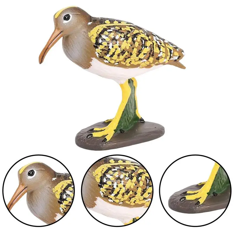 Estatueta de animal realista, modelo de pássaro decorativo, mini papagaio fofo, pássaro, figura de ação, aprendizagem, educação, brinquedos de presente de pássaro