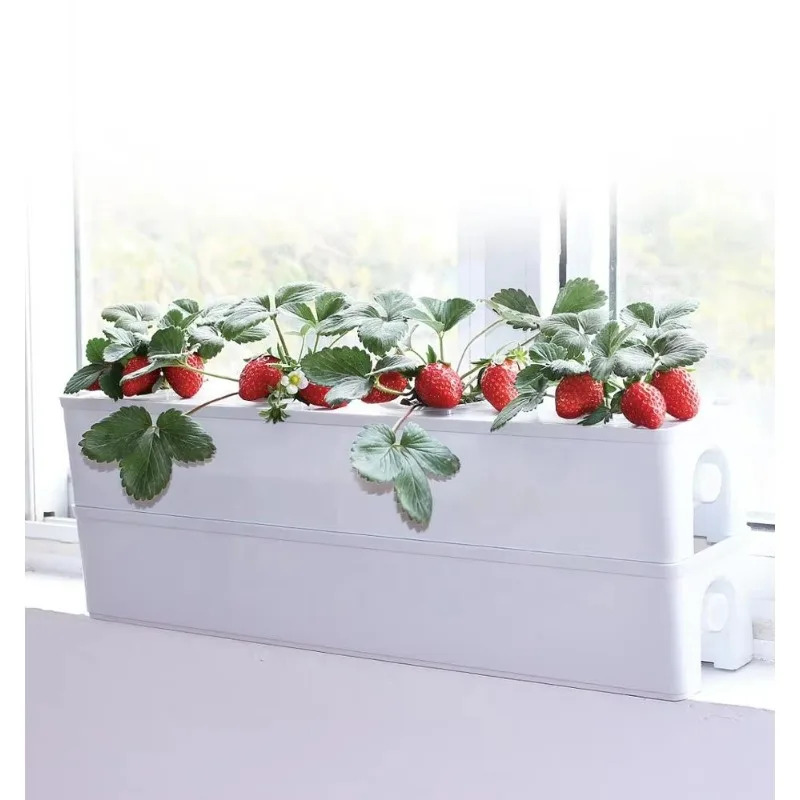 Kit di coltivazione idroponica per interni Fioriere di sistema