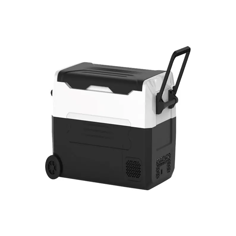 

Portable Mini 12V DC Compressor Cooler Box Dual-Zone 24V ABS Refrirator Mini Portable Deep Freezer Car Frid