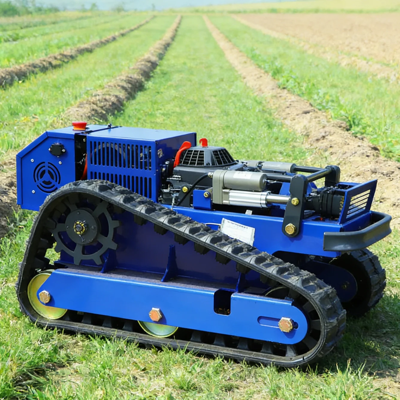 

Customised Small Robot Lawn Mower 550mm Cutting Remote Control Crawler Flail Grass Cutter Certified CE EPA lawn mowers for sale
