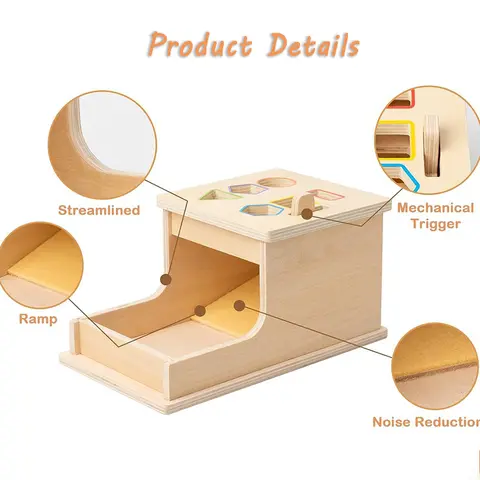 Baby trä permanent låda Montessori sensorisk leksak färg form sortering myntbössa boll droppe finmotorik församling pedagogisk leksak 8 best sales Montessorileksaker Dropship - №2