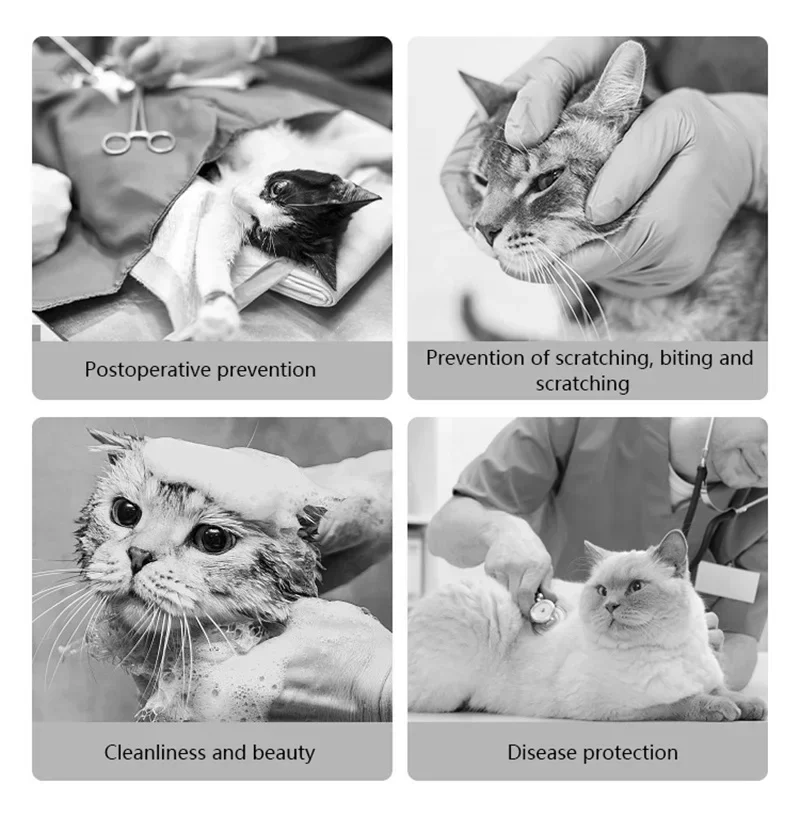 Katzenkegelhalsband, verstellbares, weiches Erholungshalsband für Katzen, verhindert Lecken, Beißen, Komfort, Füttern, Dual-Style-Kleidung ​ Passend für Po – Detail 10
