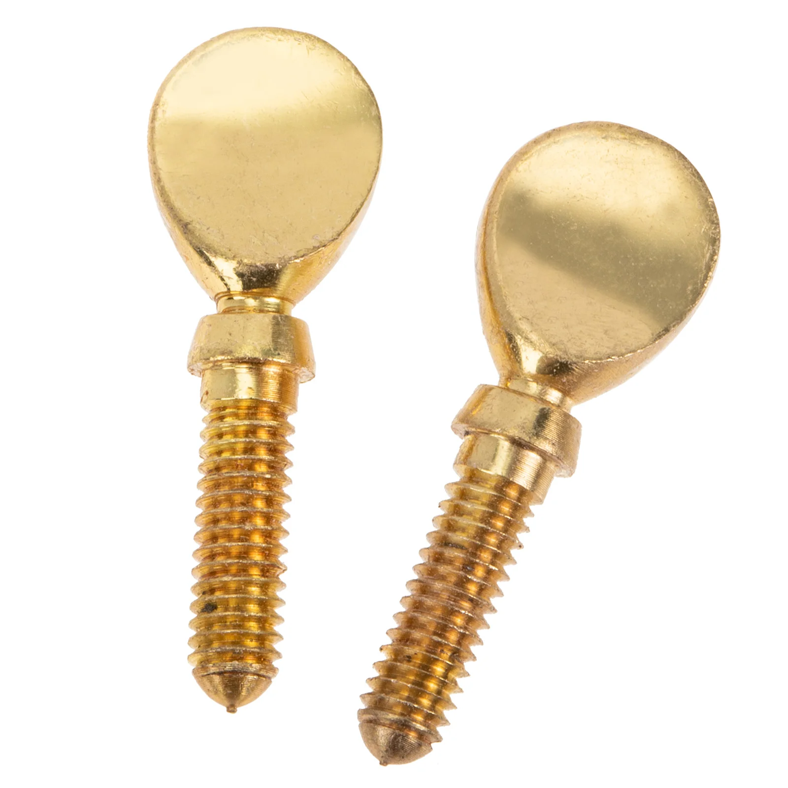 

2pcs Flute Head Screw Durable Copper Replacement Parts Damaged Flute Accessories Mouthpiece Clip Instrument Hardware