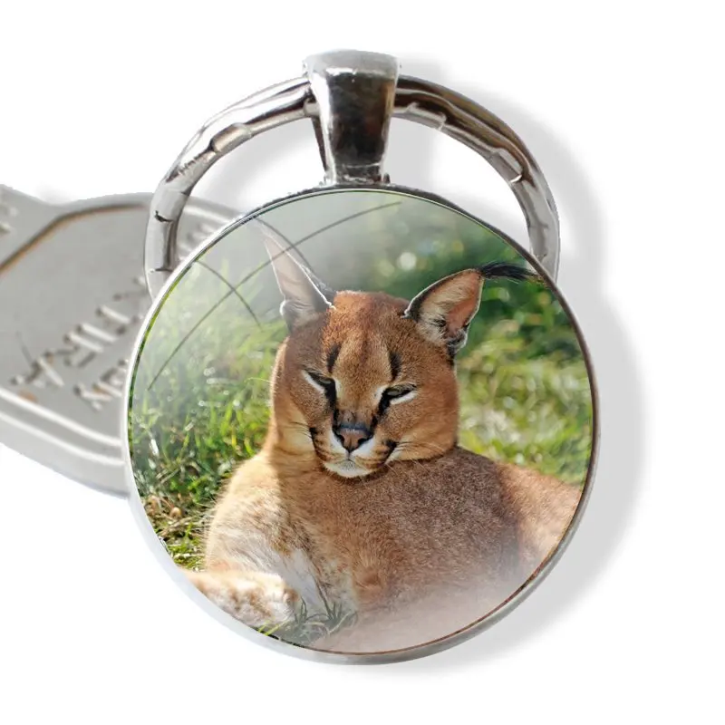 Keychain Glass Cabochon Metal Pendant Classic Men\'s Women\'s Keyring African Lynx Caracal Big Cat