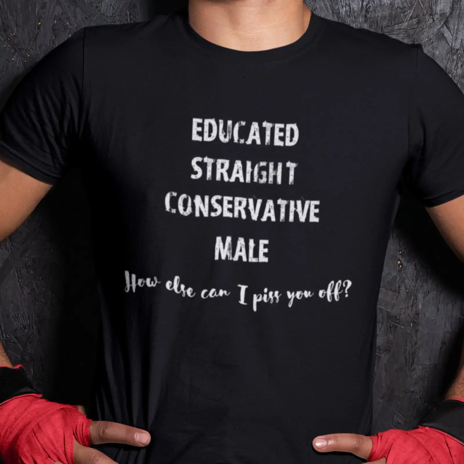 Educated Straight Conservative Male How Else Can I Piss You Off Funny Sarcastic Patriotic Men T Shirt vintage Washed Stylish