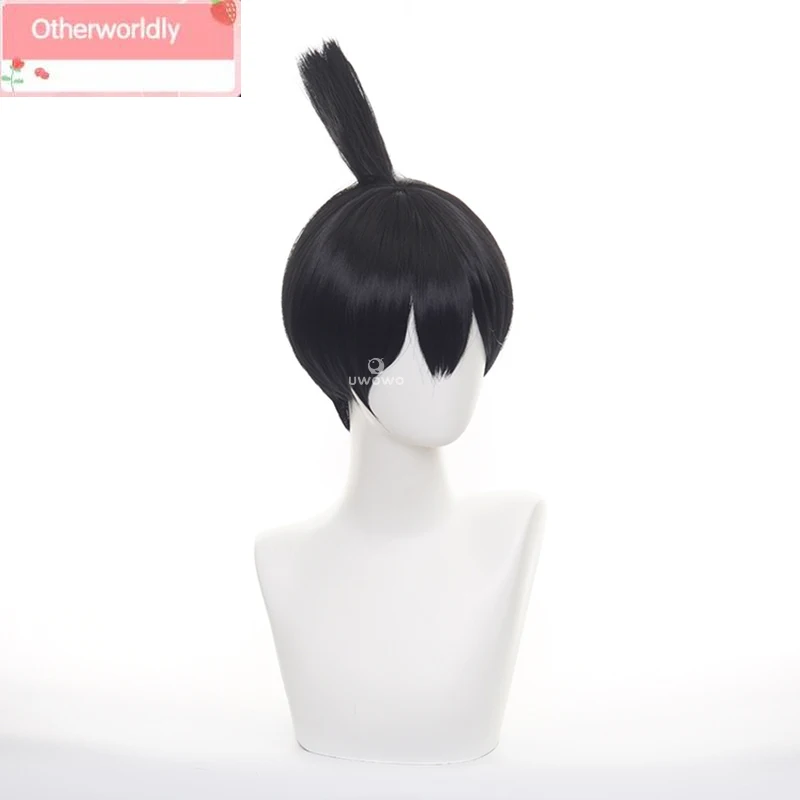 

Cosplay Wig Hayakawaa Akii Wig Men Wig Black Short Hair