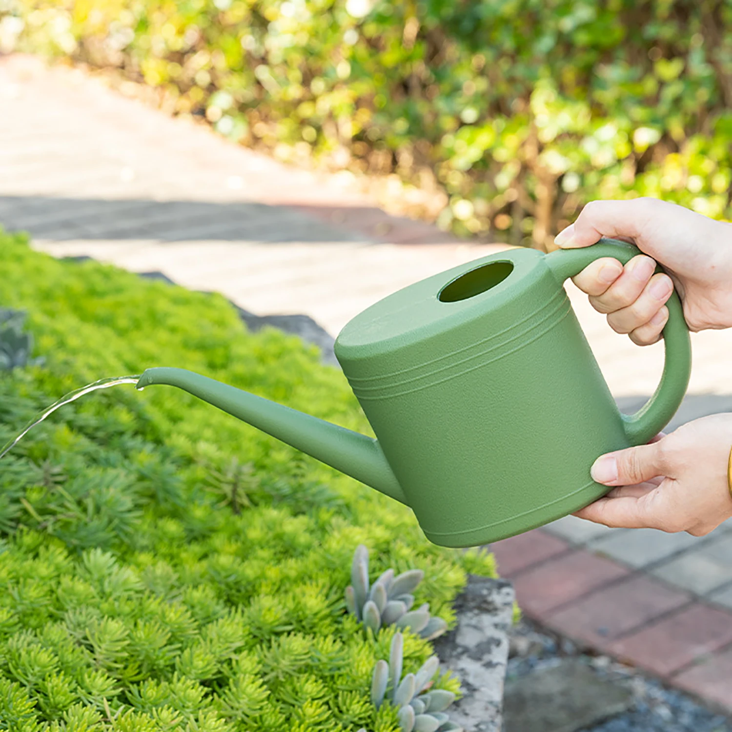 Thumbnail 3 - #18 New Watering Cans Arrivals