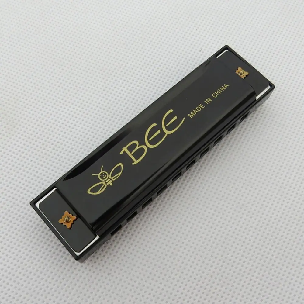 

Portable Key of C 10 Hole Harmonica with Box Rectangle Diatonic Harmonica Beginner Teaching Metal Mouth Organ Students
