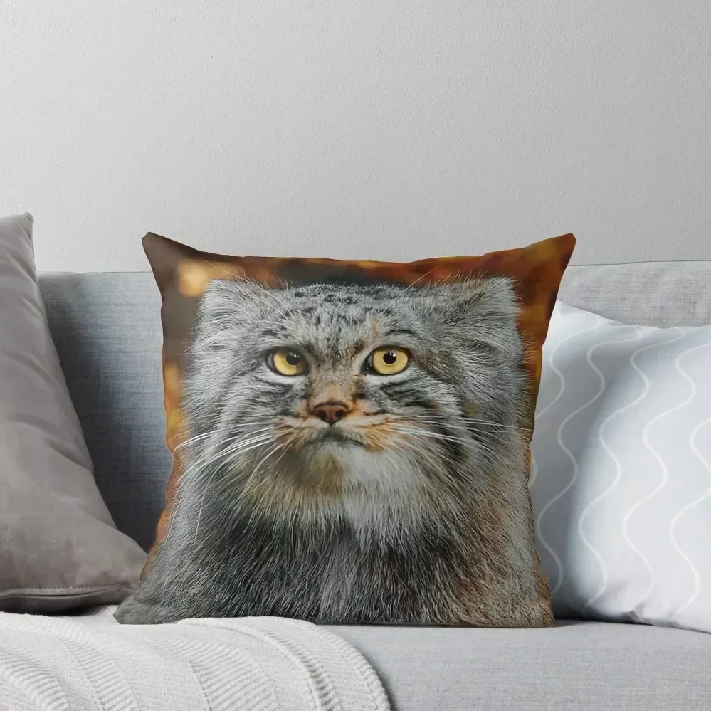 

Pallas's Cat / Manul Throw Pillow Christmas Pillow Covers Christmas Pillow Cases Decorative Cushions