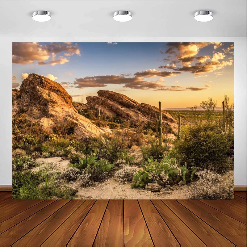 Photography Backdrop Mexico Cactus Western Life Desert Plant Saguaro Dry Sand Grunge Bush Mountain Poor Rural Cowboy Background