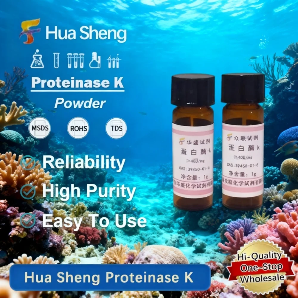 Proteinase K ≥40U/mg Lyophilized Powder Stable Enzyme for RNA DNA Isolation Tissue Digestion and PCR Sample Preparation