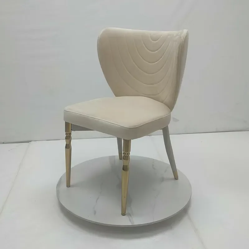 Stainless Steel Dining Chair for Restaurant Home Living Room Study Hotel Commercial Use Internet Celebrity Back Chair Batch