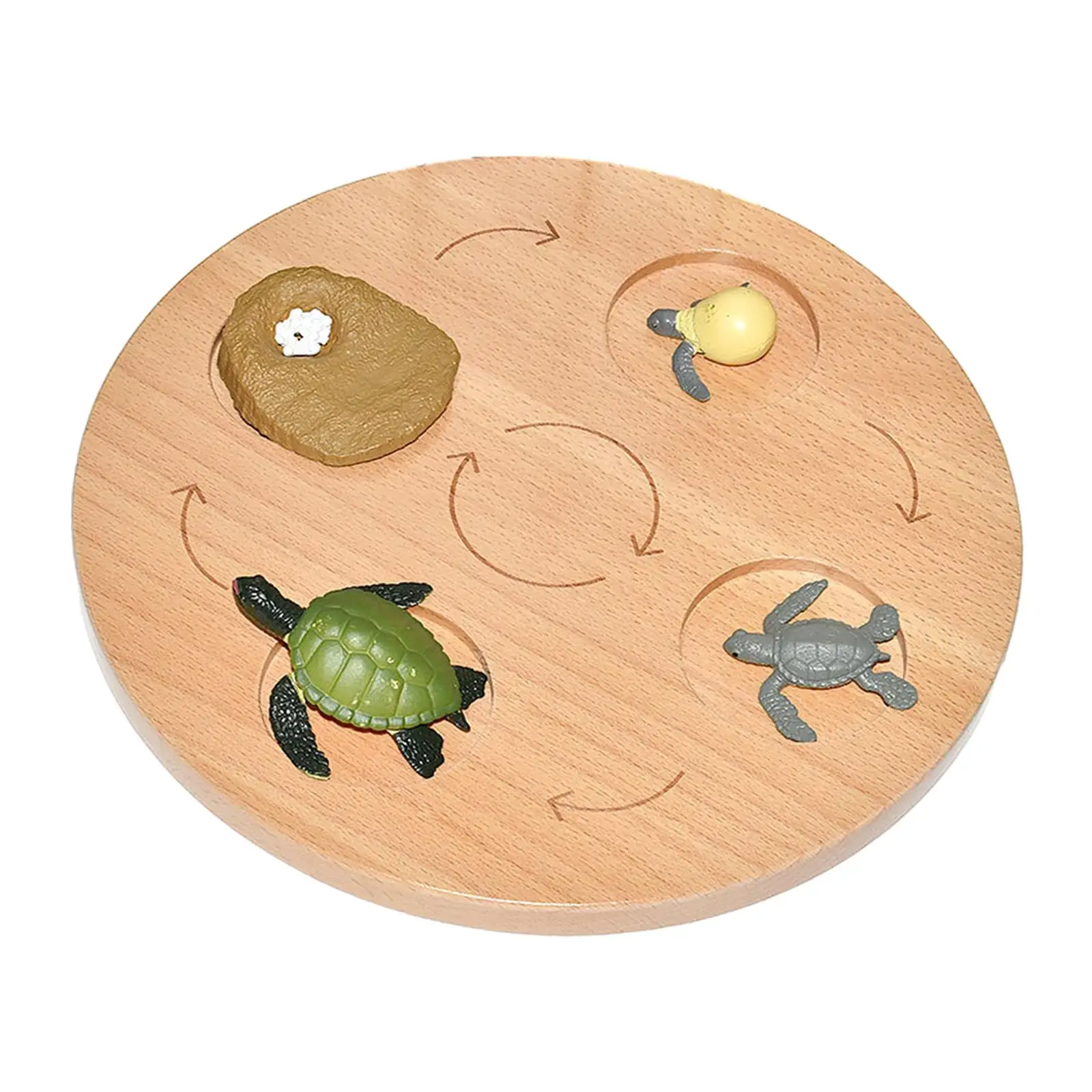 Life Cycle Board Montessori Toys for Boys Girls Educational Puzzle Preschool Cognitive Toy Animal Growth Cycle Figures