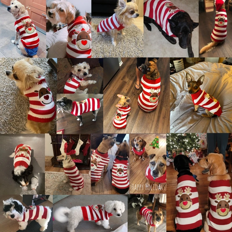 Christmas Dog Sweater Winter Warm Dog Clothes Pet Coat Cartoon Knitted Dog Dress Chihuahua Jacket Kitten Puppy Striped Clothing