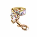 Leash