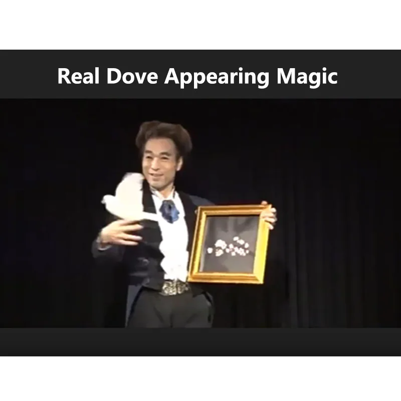 

Изображение голубя для настоящего голубя (золотая рамка) Фокусы Сцена Настоящий голубь Появляющееся производство Волшебные иллюзии Уловки Реквизит
