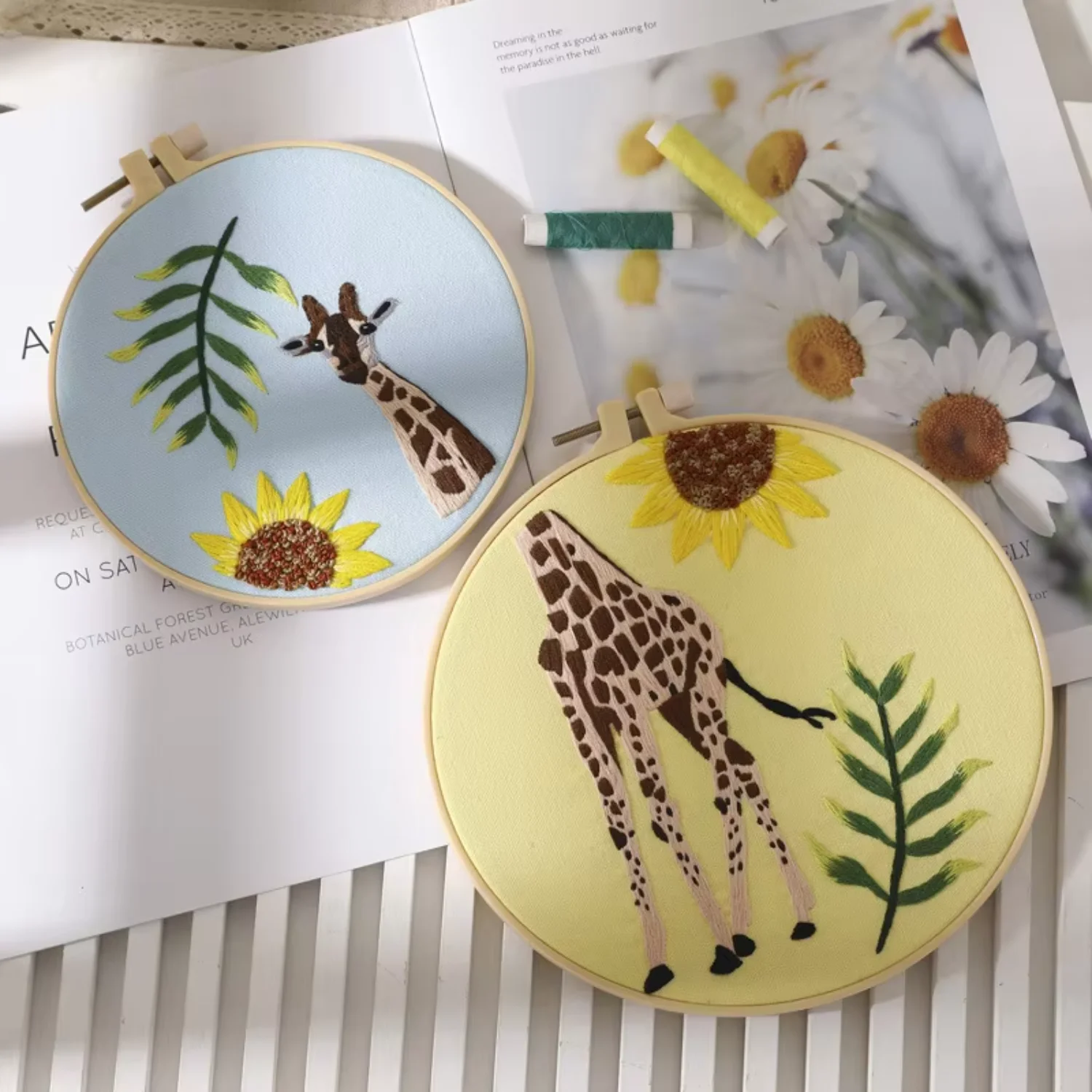 

2pcs Cute Designs DIY Starter Kits Beginners Embroidery Kit for Adults