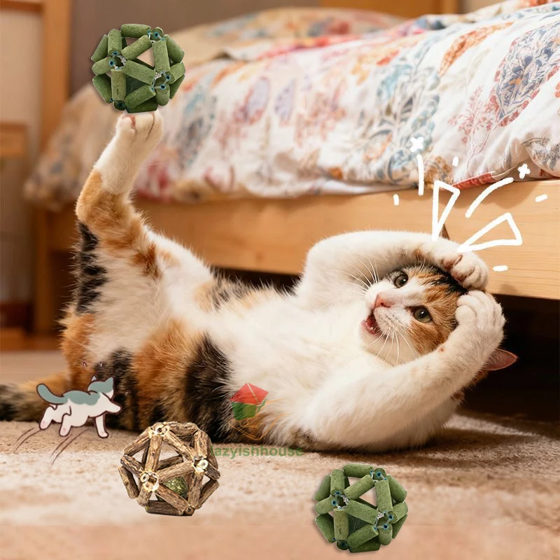 Catnip Ball Cat Interactive Toy for Kitten Matatabi Polygonum Cleaning Cat Teeth Healthy Catnip Wooden Balls Pet Supplies