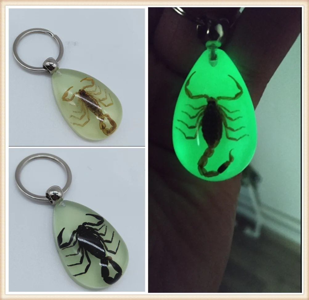 Motorcycle style scorpion luminous wear key chain crafts accessories for Ducati SS1000  1000S  M1000S S4 S4R  916SPS