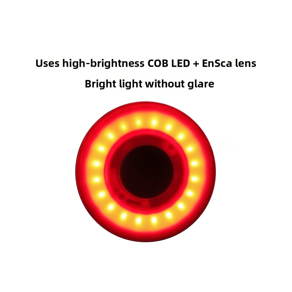 

Специальный задний фонарь для XLite100SR с точной чувствительностью к торможению и управлением подсветкой, водонепроницаемый по стандарту IPX6