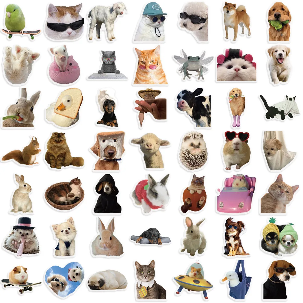 10/30/50pcs Funny Cats Dogs Meme Cartoon Stickers Transparent PET Toys Graffiti DIY Skateboard Notebook Fridge Phone Wall Decals