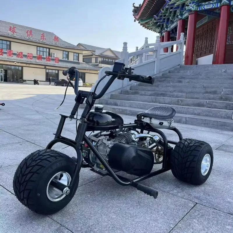 

Customized 2025 New Mini Bike 212cc 7.5hp 4 Stroke Go Cart Gas Powered Drift Chain Drive off Road Go Karts for Adults