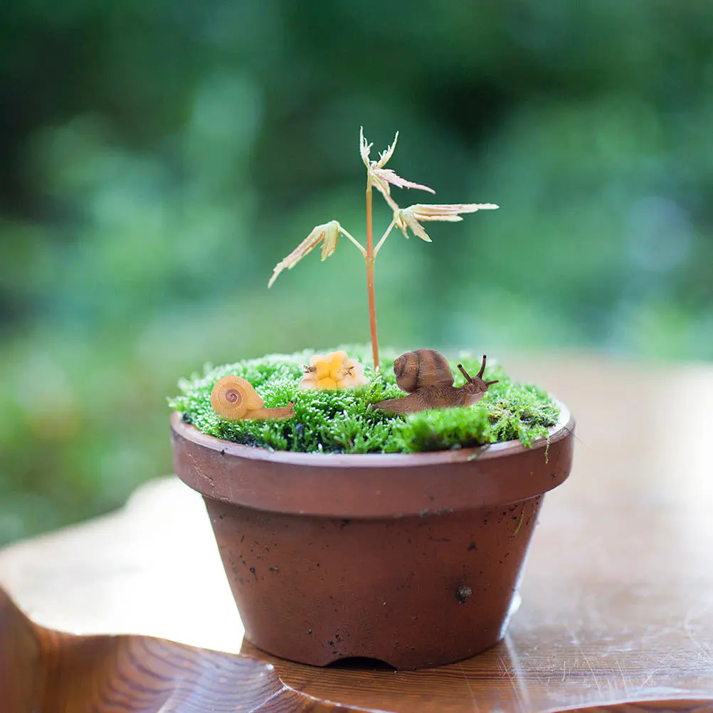 Juego de 2 ciclos de crecimiento de caracol, educativo de plástico de alta calidad para niños, desarrollo cognitivo, decoración del jardín del hogar, ciclo de vida