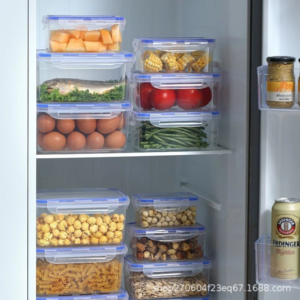 Contenitore per il pranzo in p - Meal Prep Containers Xl recensione e prezzo