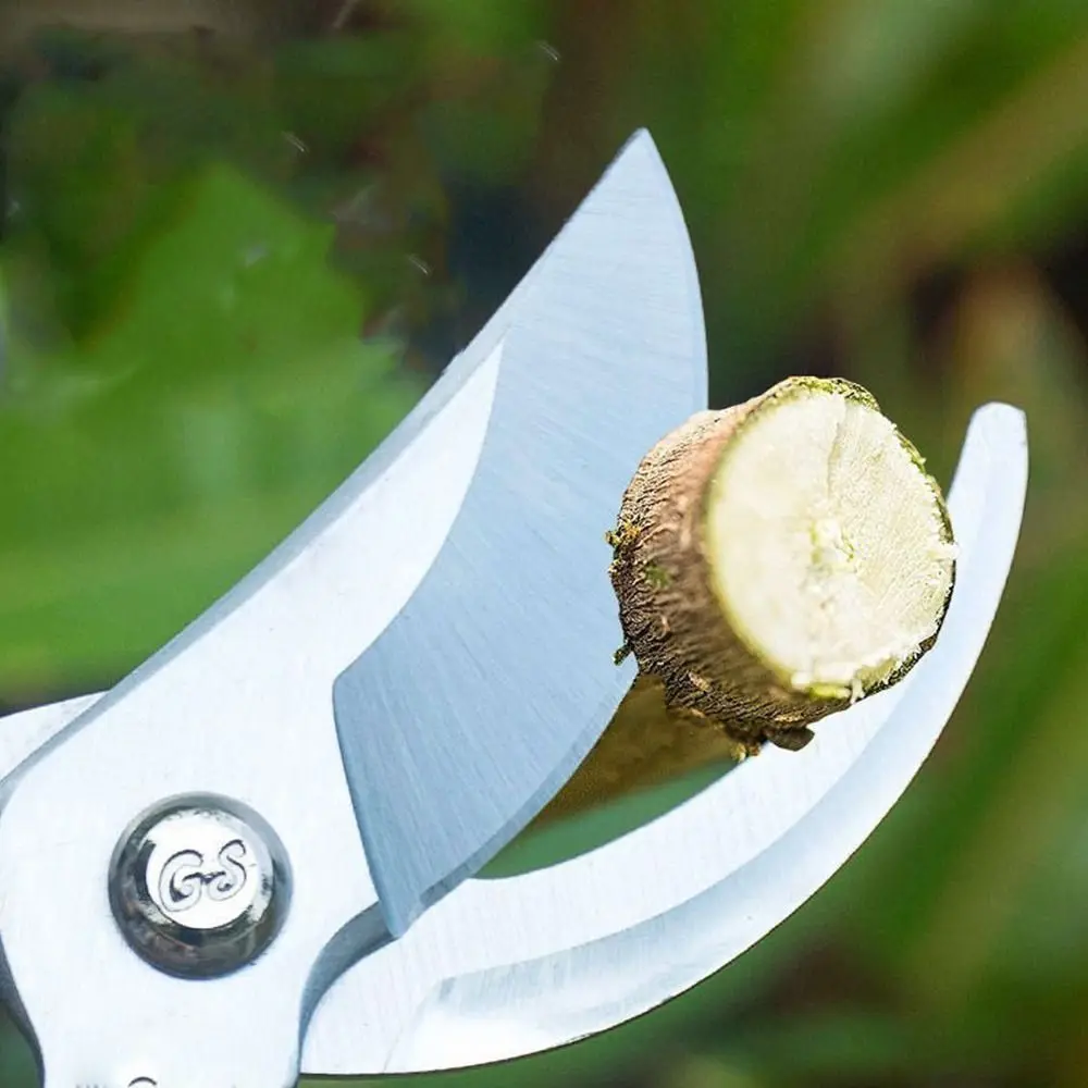 2.5cm Durable Garden High Performance Fruit Tree Pruner Blade Pruning Machine Scissors Blade Scissors Accessory
