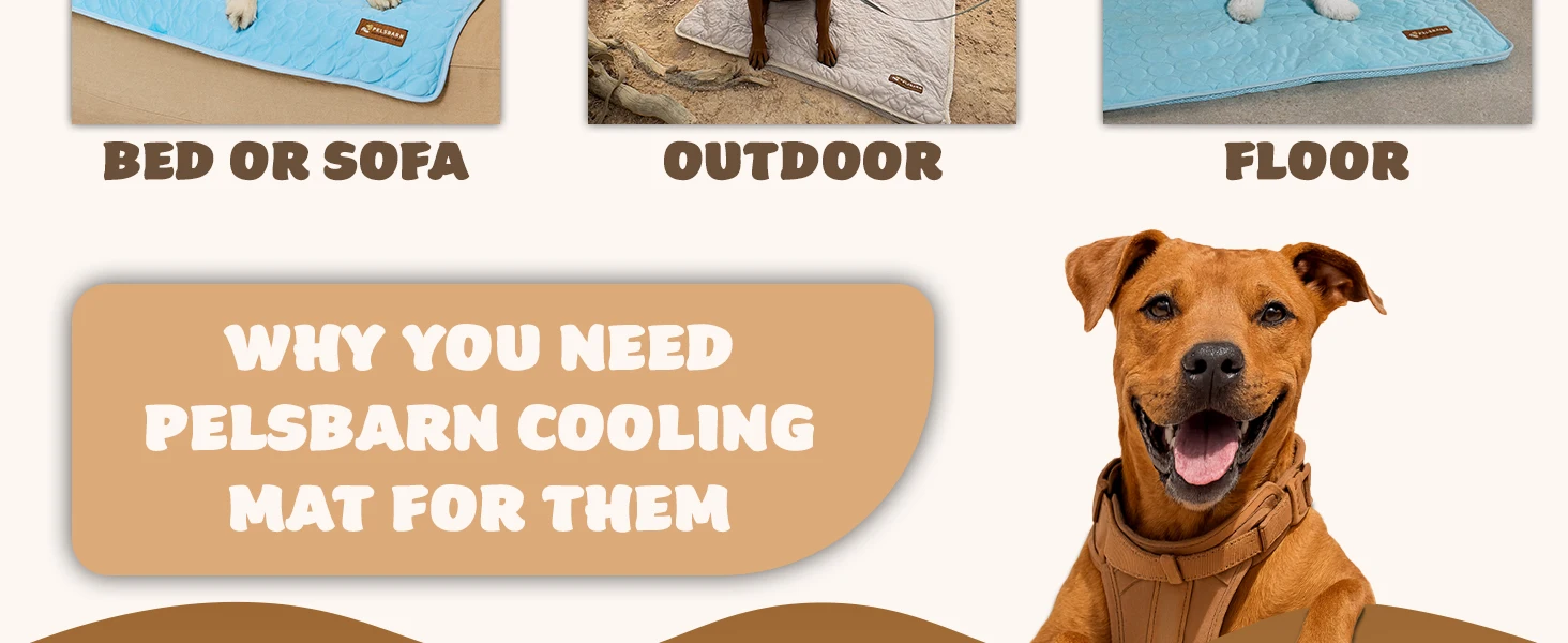 dog mats