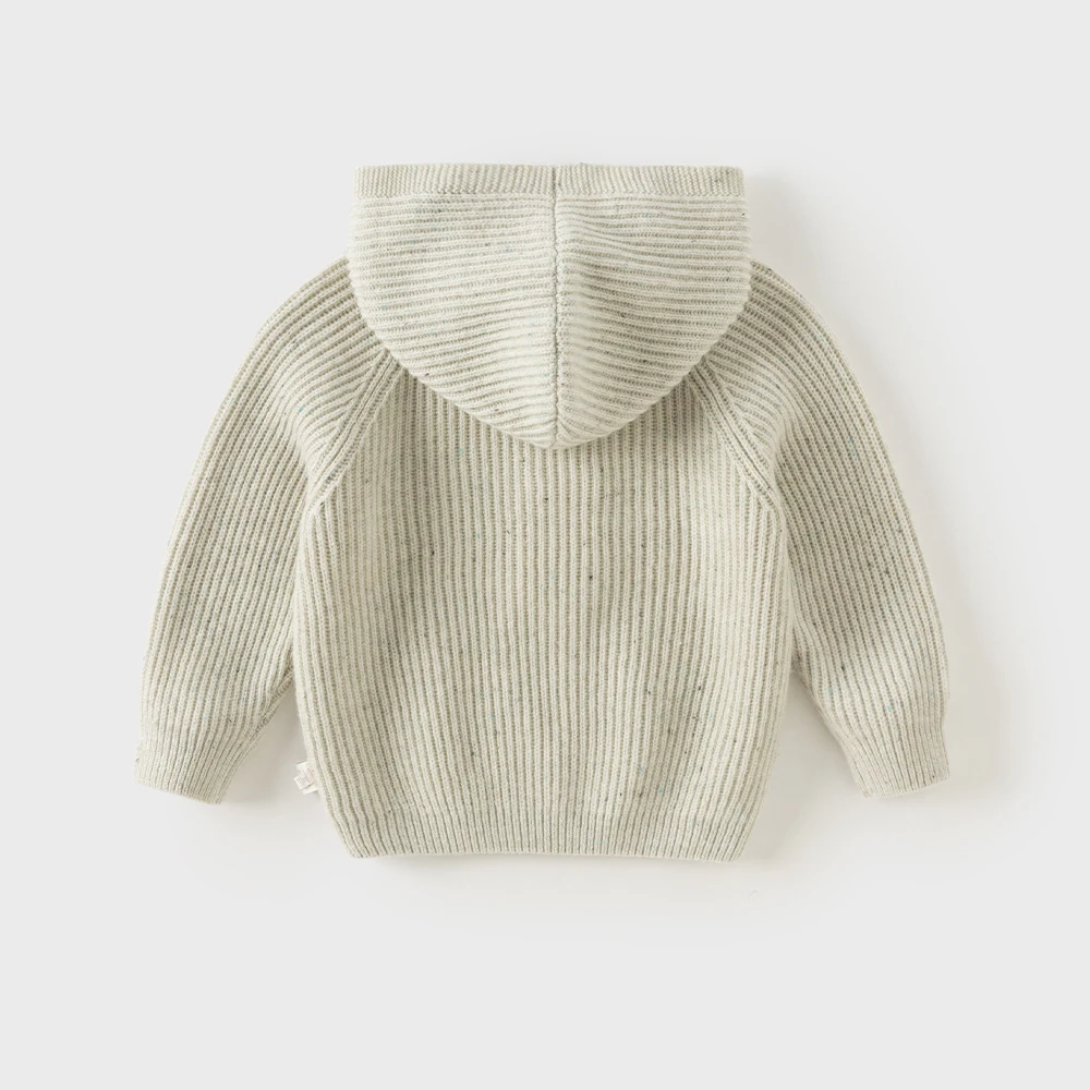 Dave Bella Children’s Hooded Sweater Pullover For Boy’s Autumn Spring Kids’ Sweater Clothing Fashion 3 to 6 Years Tops DB4263695