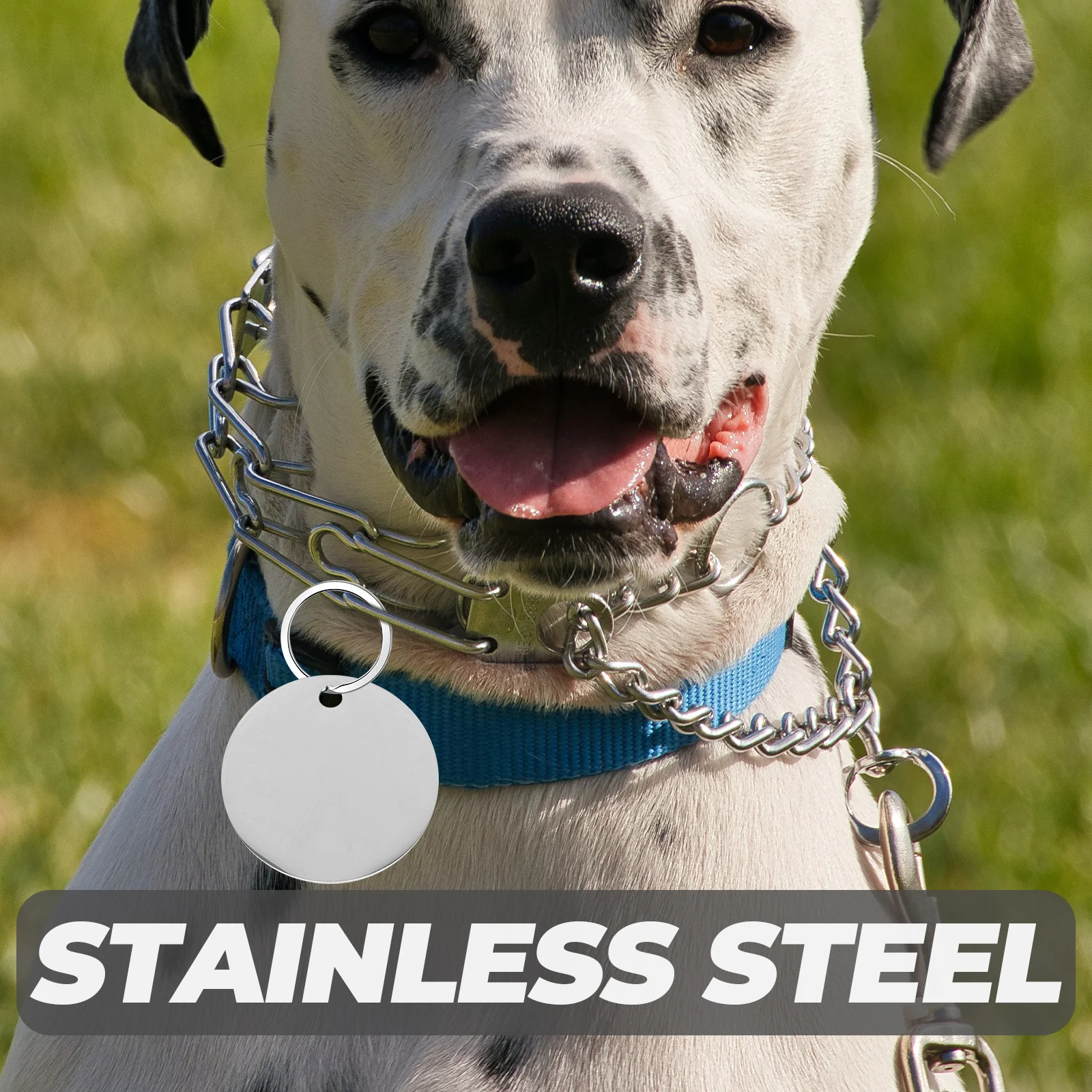 

10 Stainless Steel Dog Tags Blank Engraving Pendants 25MM Pet Id Ear Markers Jewelry Stamping Kit Smooth Surface