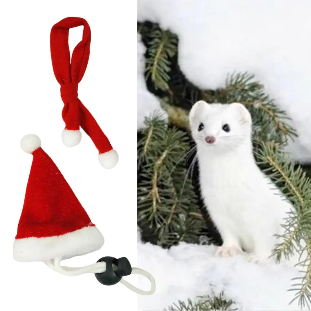

1 Set Reptile Hats Skin-friendly Pet Supplies Casual Lizard Head Wear Santa Cap Lizard Hats for Winter