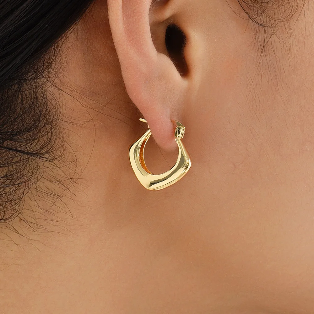 Classic Retro 18K Gold Plated Geometric Irregularity Hoop Earrings Stainless Steel Polished Huggie Ear Ringd Punk Jewelry Bijoux