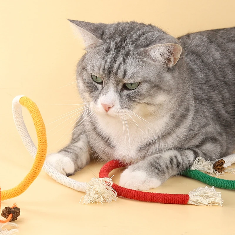 Cat Catnip Rope Toys Self Entertaining Bite Resistant Rope Toy for Indoor Cats Interactive Cat Nip Cat Toys for Kittens Kitty