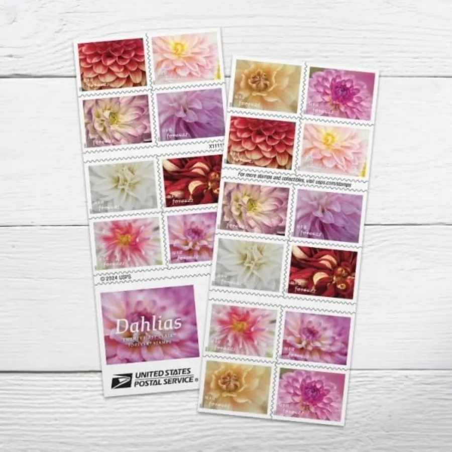 

Почтовые марки Dahlias 25 2 для отправлений первого класса, номиналом в 2 доллара США, с пожизненной действительностью.