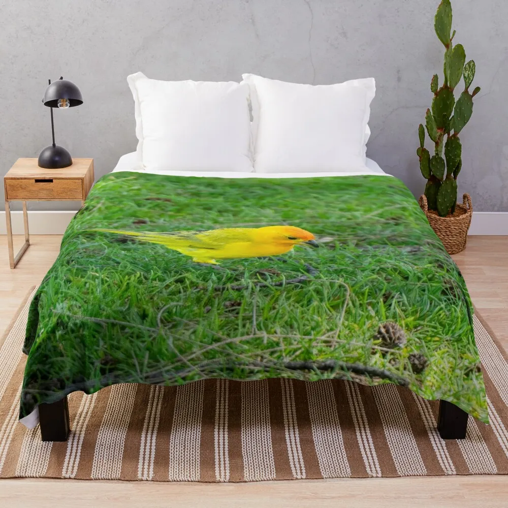 Saffron Finch Looks for Food Throw Blanket Plush blankets and throws Multi-Purpose Heavy Blankets