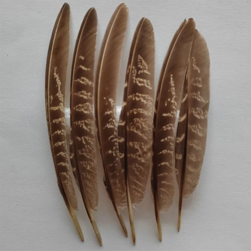 200Pcs/LOT,13-20CM NATURAL Ringneck Pheasant Wing Feathers,Wholesale Plume Quills,Male/Female Ringneck Quills